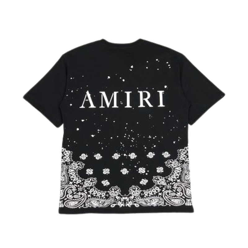 Camiseta Amiri Blizzard